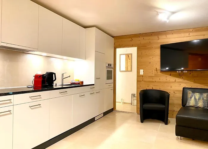 Steinbock 洛伊克巴德