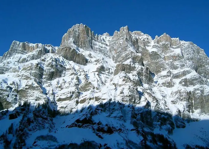 公寓 Steinbock 洛伊克巴德