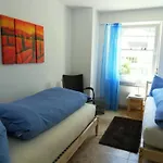 Steinbock Apartment